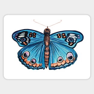 Blue Moth Sticker